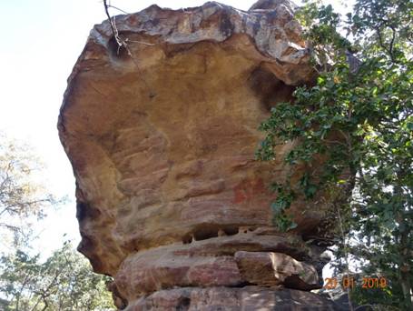 скала с бизоном80