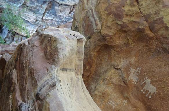 слоны_обрез