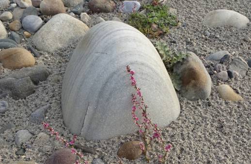 камень с цветком