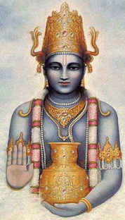 Чаван риши80