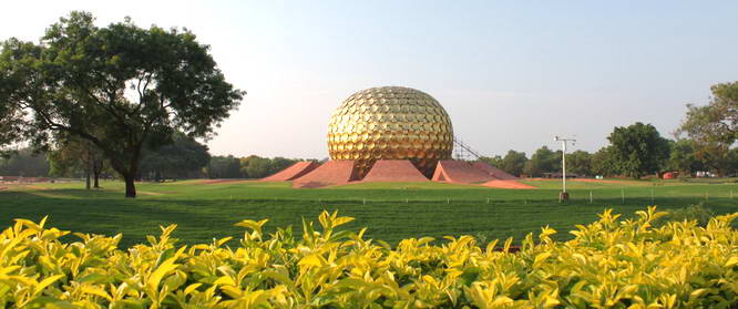 matri mandir_кусты2