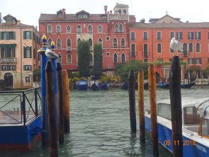 гранд канал с чайками