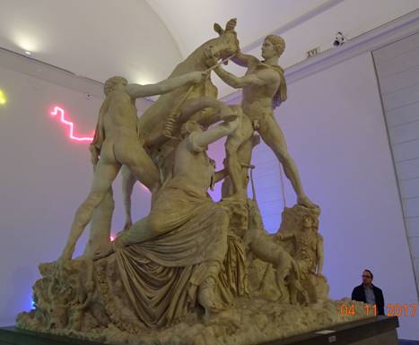 укрощение быка