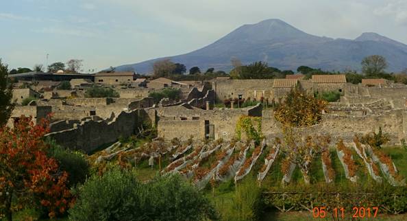 Везувий за виноградниками