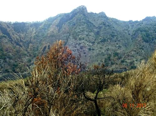 гора у Везувия_