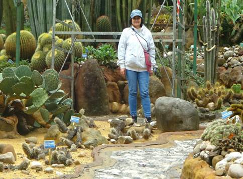 я с кактусами_