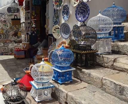 Сиди бу Саид_клетки для птиц50%