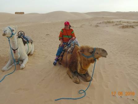 верблюд и я70%