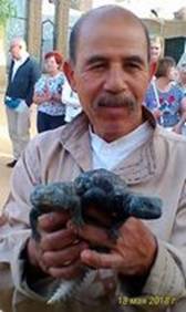 саламандры20х70%