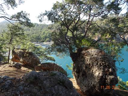 райская бухта с горы